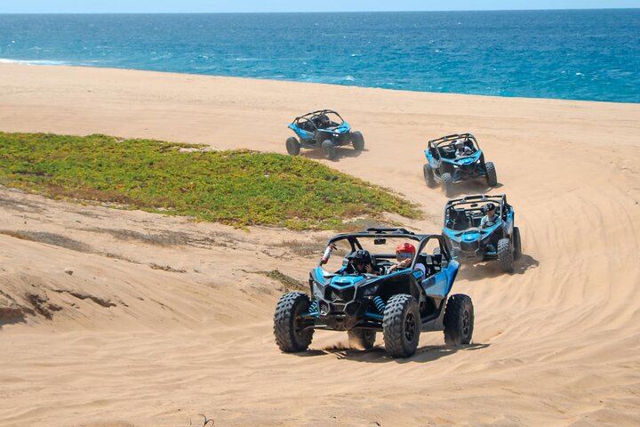 NEW!! Camel Ride and UTV Combo with Tequila Tasting Los Cabos