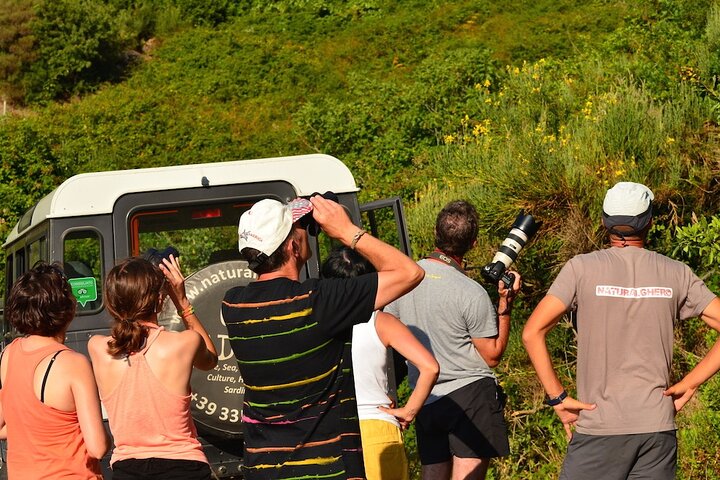 Alghero: Jeep tour to discover nature and breathtaking landscapes
