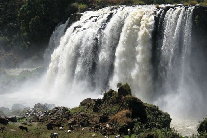 Day Trip Bahir Dar, Lake Tana and Blue Nile Falls Tours