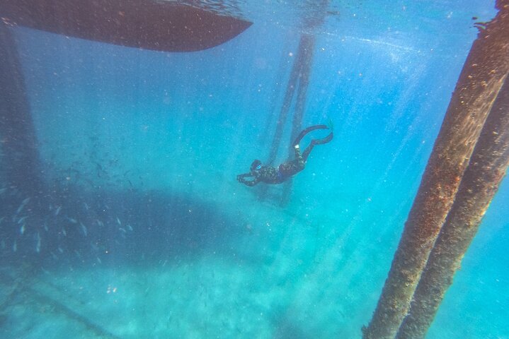 Guided Snorkel Tour Phil Foster Park (HIGH TIDE ONLY-FREE VIDEOS)