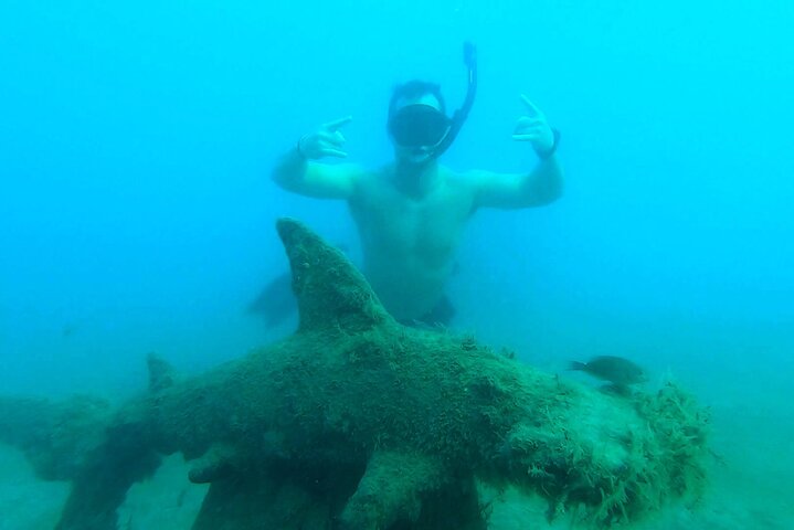 Guided Snorkel Tour Phil Foster Park (HIGH TIDE ONLY-FREE VIDEOS)
