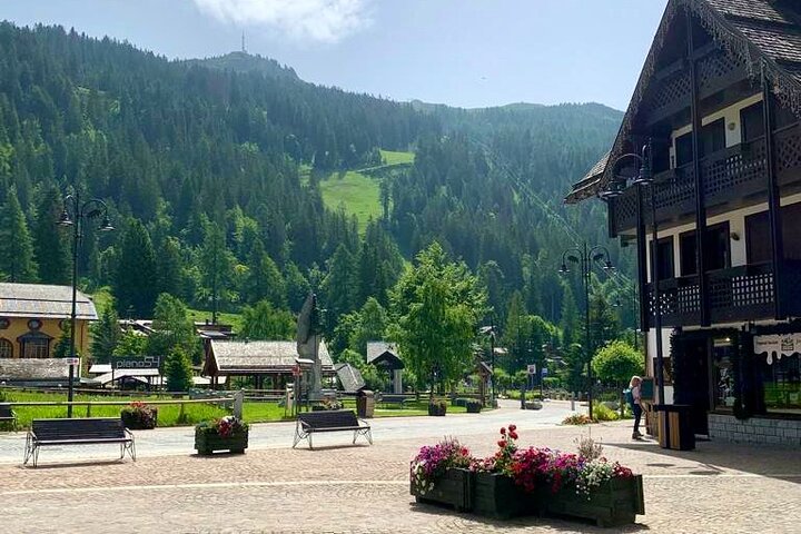 From Verona area: Private day trip to the Dolomites