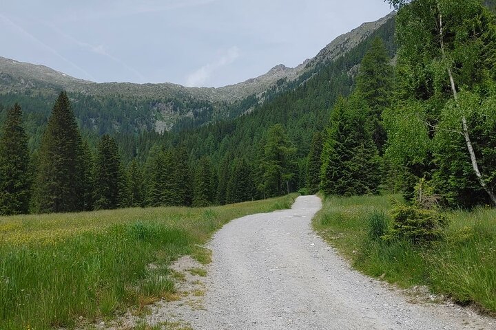 From Verona area: Private day trip to the Dolomites