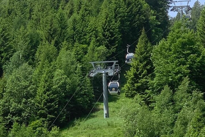 From Verona area: Private day trip to the Dolomites
