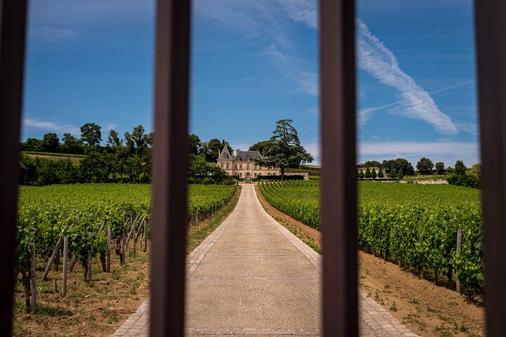 Saint-Émilion Wine Tour By Premium Electric Bike, Lunch Included