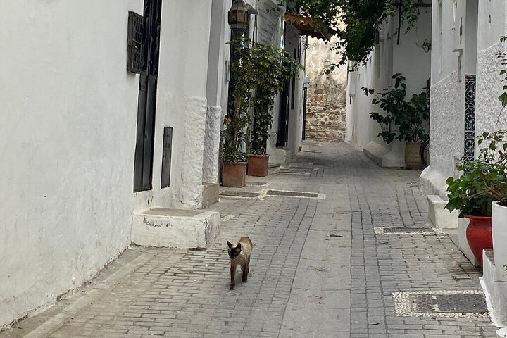 Morocco: Tangier Private Tour from Malaga & Tarifa, All Inclusive
