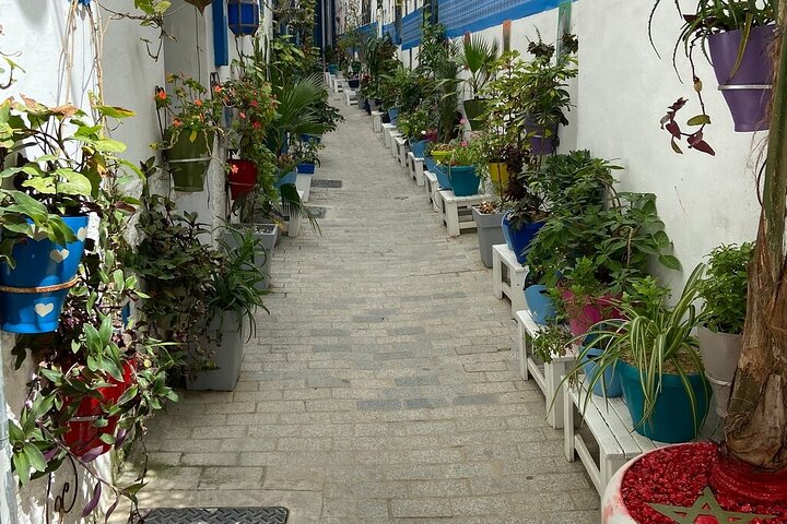Morocco: Tangier Private Tour from Malaga & Tarifa, All Inclusive