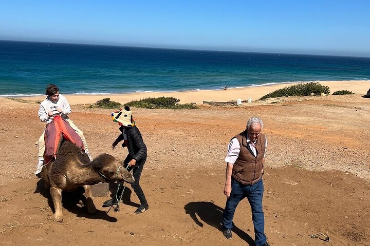Morocco: Tangier Private Tour from Malaga & Tarifa, All Inclusive