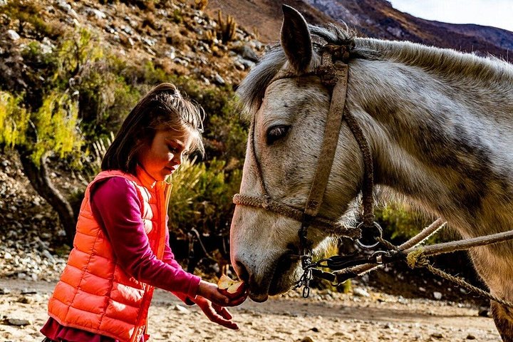 Cabalgata Ancestral