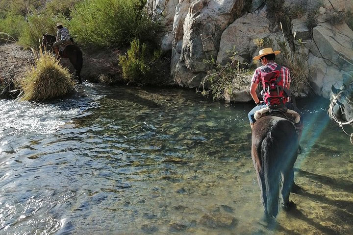 Cabalgata Ancestral