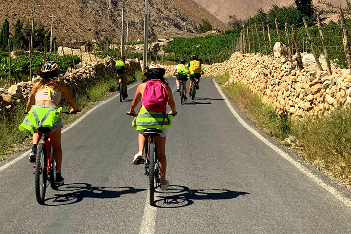 Bike tour, Villages of Elqui