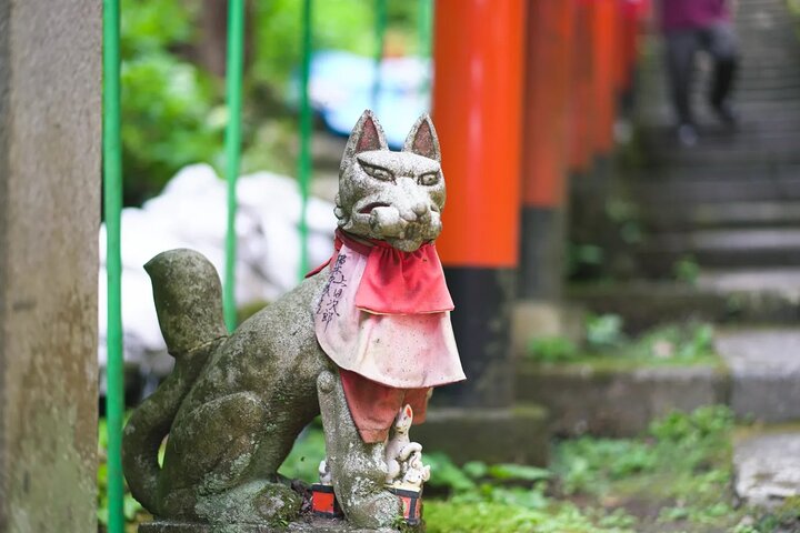 Kamakura Historical Walking Tour with the Great Buddha