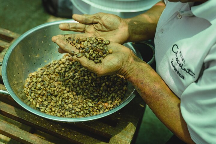Project Chocolat Tree to Bar Tour at Hotel Chocolat Saint Lucia
