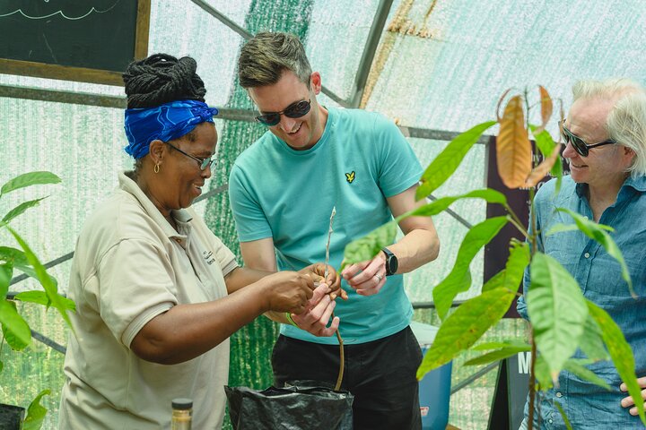 Project Chocolat Tree to Bar Tour at Hotel Chocolat Saint Lucia