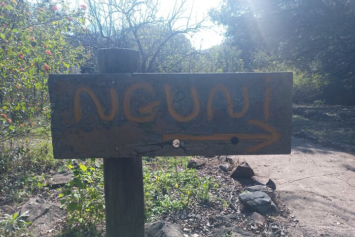 Lesedi Cultural Village & cradle of Humankind Guided Tour