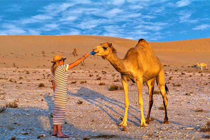 Half Day licensed Tours in Kuwait City & Desert PickUp & DropOff