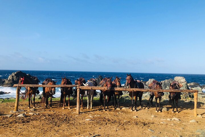 Horseback Ride Tour to Natural Pool in Arikok National Park