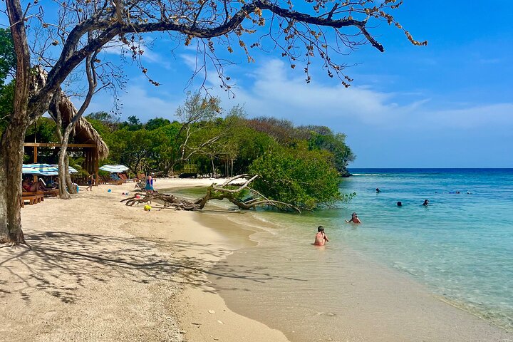 Roatan Monkey and Sloth Sanctuary and Beach Break