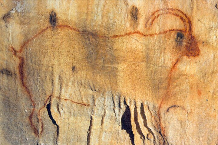 Sarlat : Private Tour to a Prehistoric Cave by Exploreo24