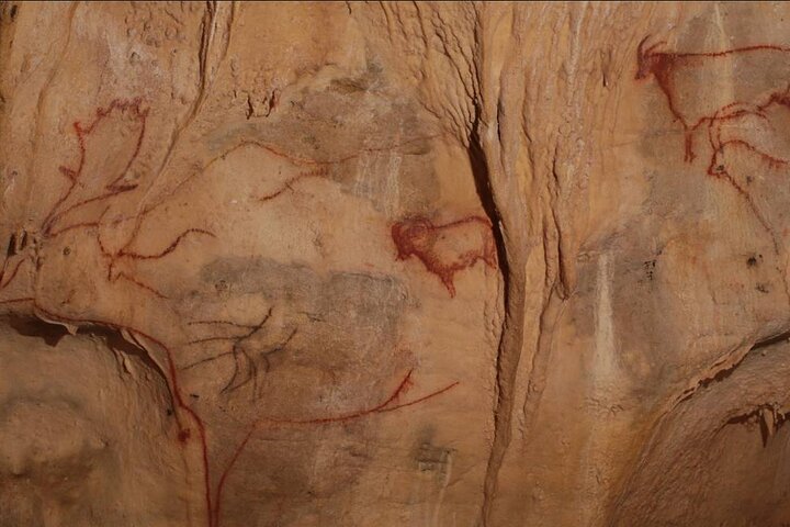 Sarlat : Private Tour to a Prehistoric Cave by Exploreo24