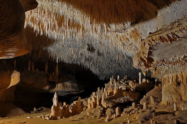 Sarlat : Private Tour to a Prehistoric Cave by Exploreo24