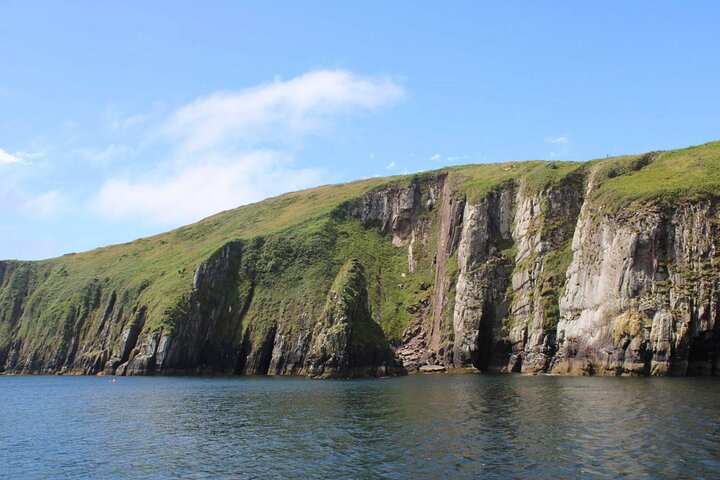 2-hour Guided Mini Eco Tour at Dingle, Ireland