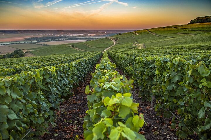 Private Champagne Tour Veuve Clicquot, Moet & Chandon from Reims