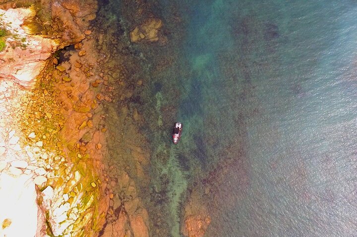 Explore the Wild Beauty of the Basque Coast by Boat