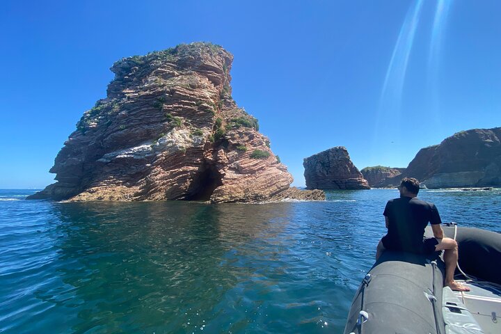 Explore the Wild Beauty of the Basque Coast by Boat