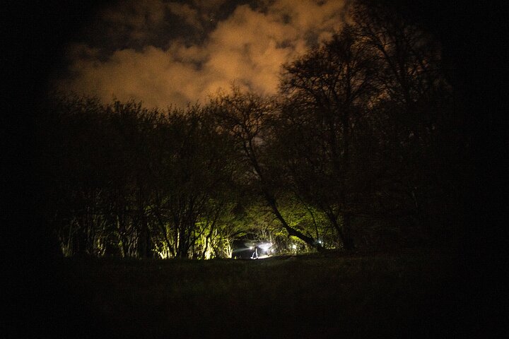 Night Tour in Hoia Baciu Forest