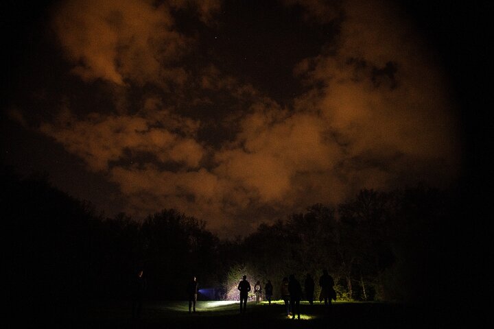 Night Tour in Hoia Baciu Forest
