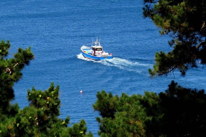 Unrivalled Coastal Tour to Saint's Bay Harbour