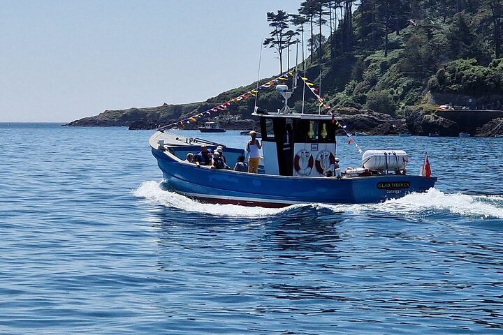 Unrivalled Coastal Tour to Saint's Bay Harbour