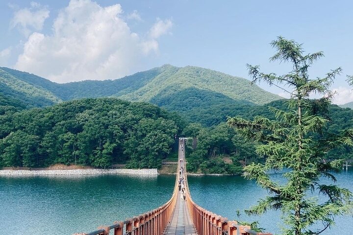 Best DMZ Tour Seoul: Defector Q&A, 3rd Tunnel & Suspension Bridge