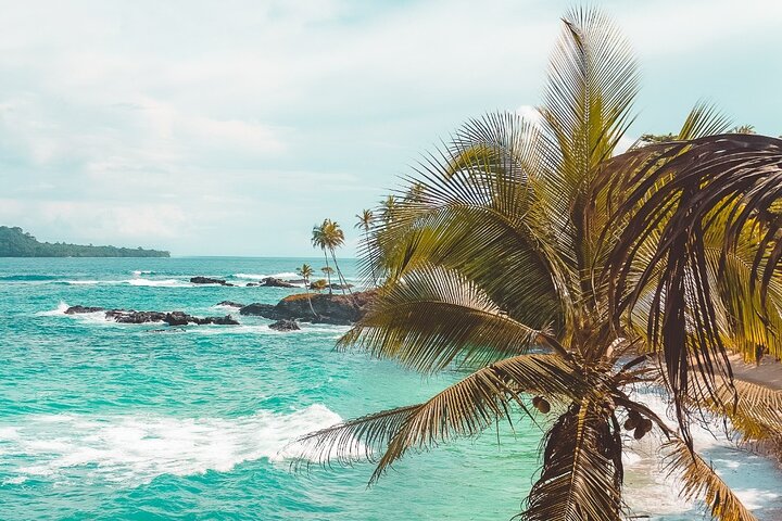 Tours for cruise ship travelers in São Tomé