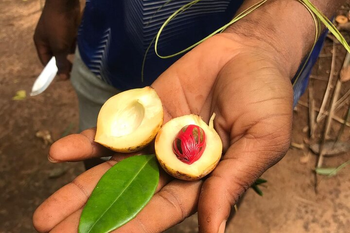 Zanzibar Spice Tour