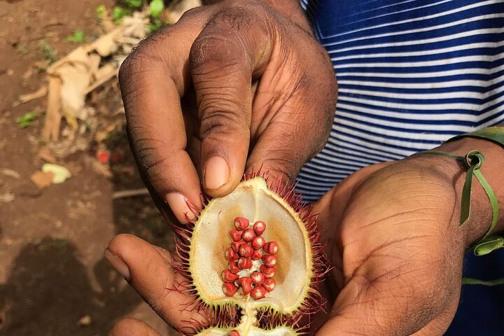 Zanzibar Spice Tour