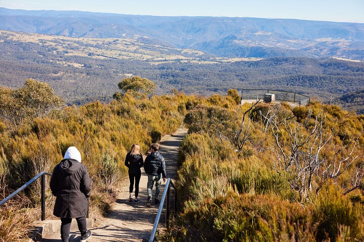 Blue Mountain Small Group Tour All Inclusive