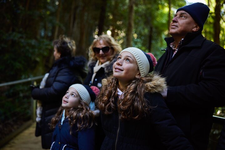 Blue Mountain Small Group Tour All Inclusive