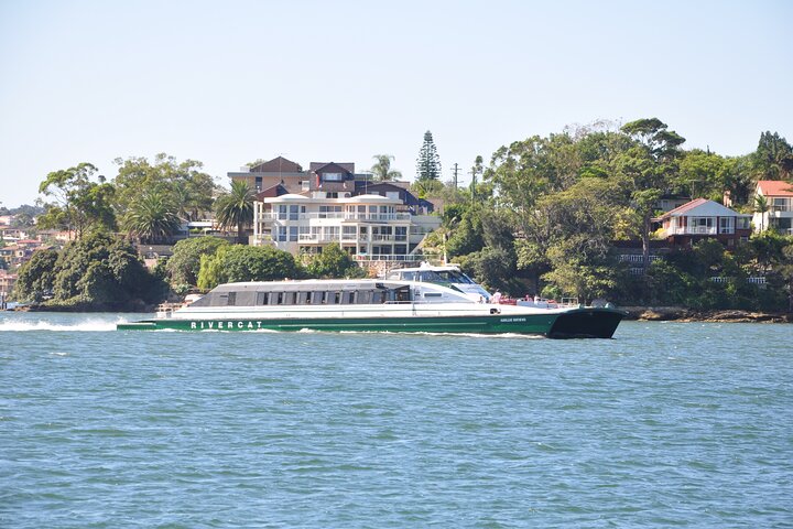 Blue Mountain Small Group Tour All Inclusive