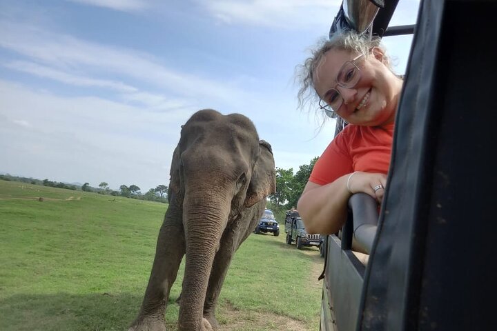 Private Jeep Safari at Minneriya National Park to Visit Elephants