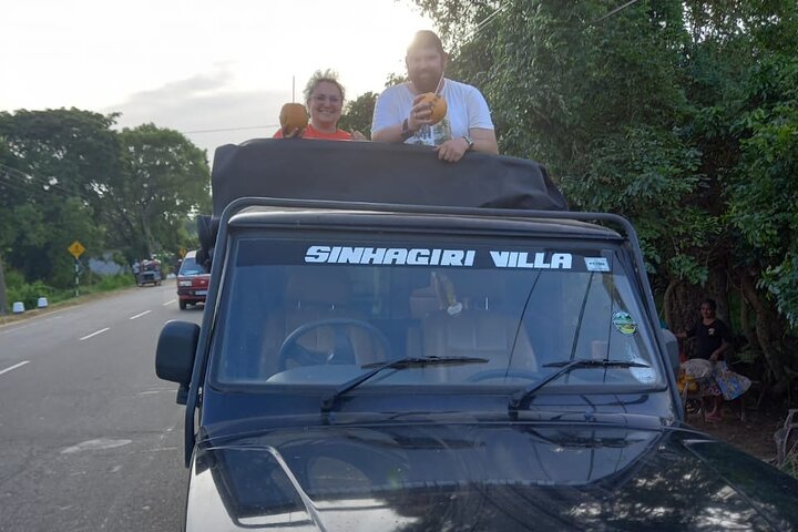 Private Jeep Safari at Minneriya National Park to Visit Elephants