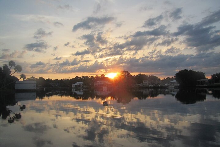 Crystal River Manatee Viewing & Sightseeing Boat Tour