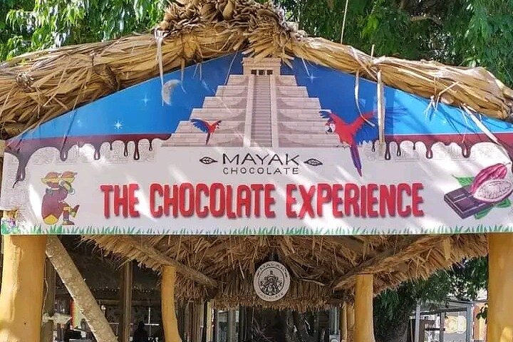 Roatan ATV Jungle Tour, Sloth & Monkeys, Chocolate & Rum Tasting