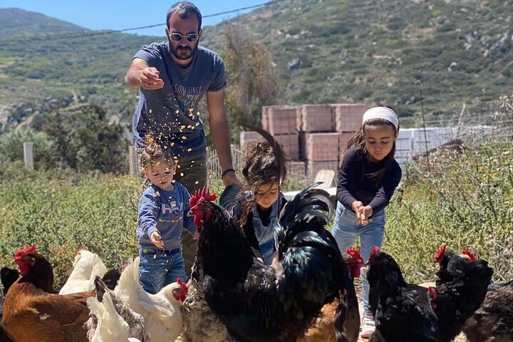 Naxos Perivoli Farm Experience & Wood-fire Cooking Class