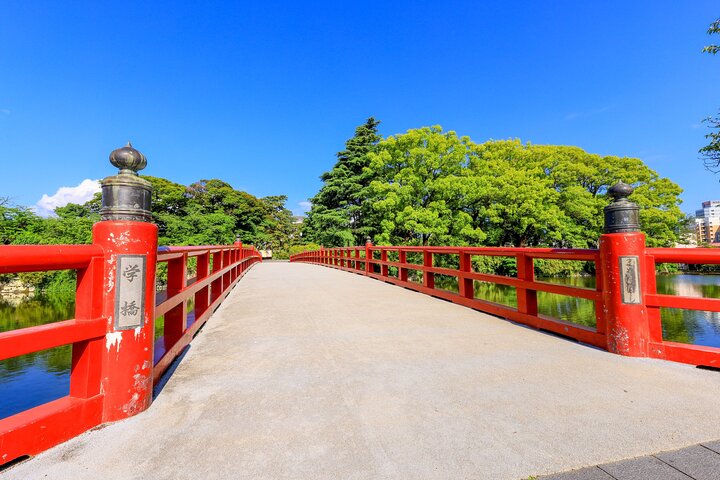 Odawara Castle and Town Guided Discovery Tour