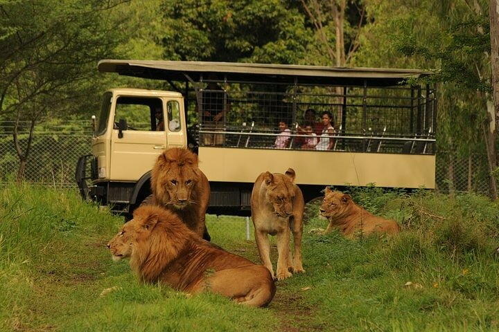 Casela World of Adventures, West of Mauritius