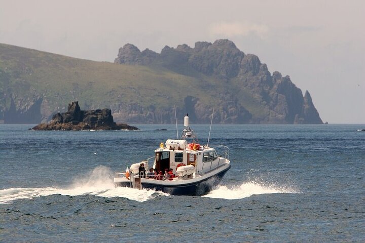 Dolphin & Whale Watching (4hrs) + Blasket Island Landing (3hrs)