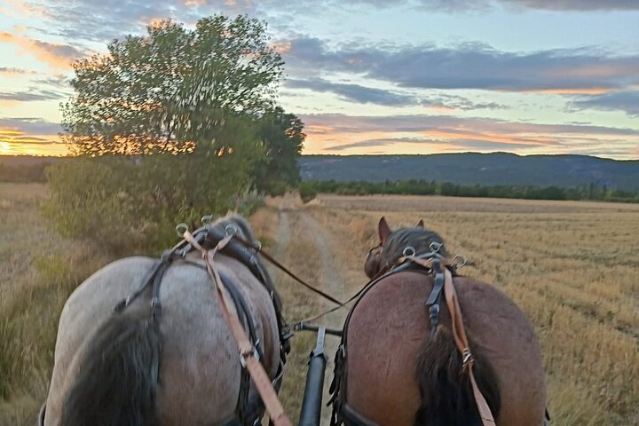 Carriage rides in the heart of the Luberon