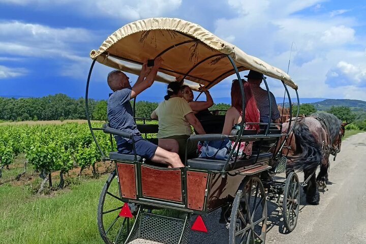 Carriage rides in the heart of the Luberon
